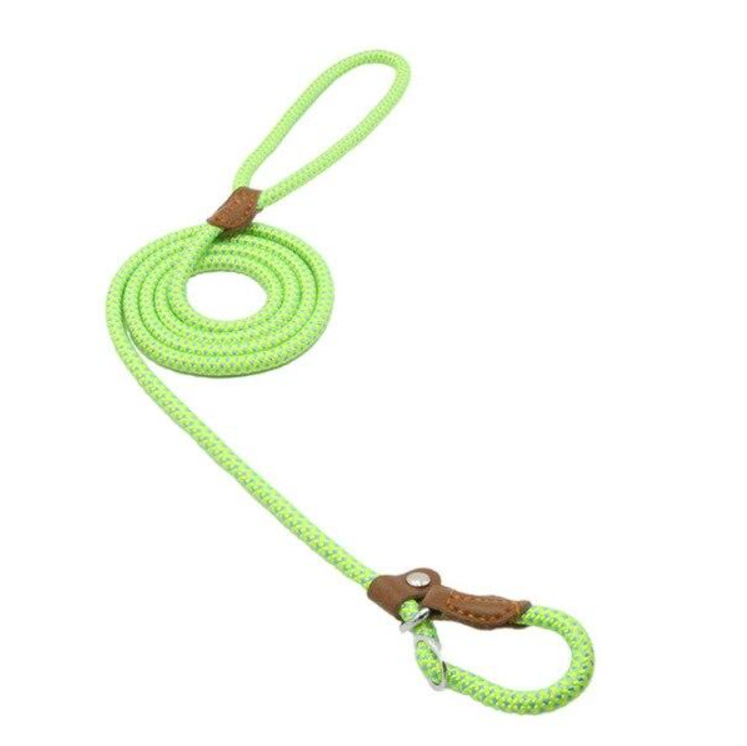 GearGremlin TrailPup – Nylon Collar & Lead Set
