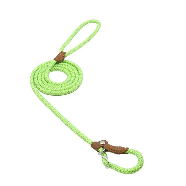 GearGremlin TrailPup – Nylon Collar & Lead Set