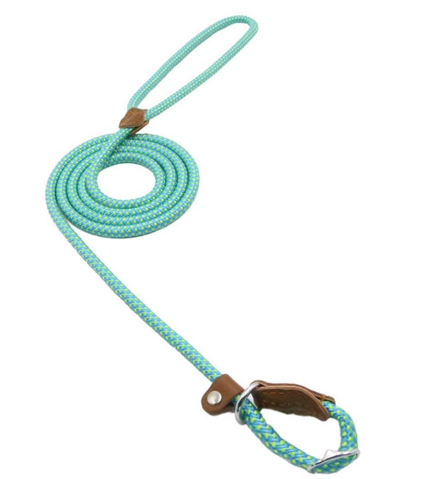GearGremlin TrailPup – Nylon Collar & Lead Set