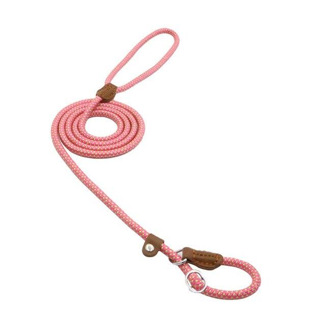 GearGremlin TrailPup – Nylon Collar & Lead Set
