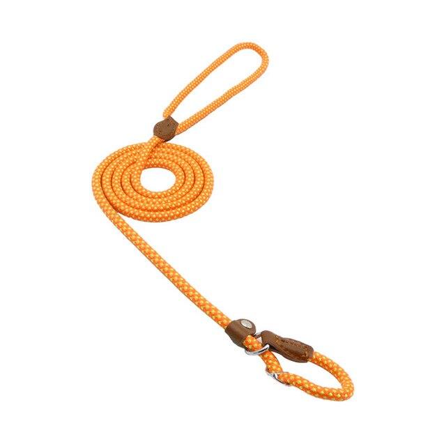GearGremlin TrailPup – Nylon Collar & Lead Set