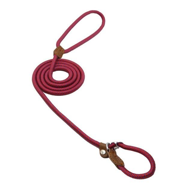 GearGremlin TrailPup – Nylon Collar & Lead Set