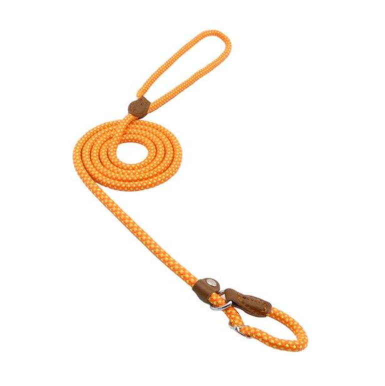 GearGremlin TrailPup – Nylon Collar & Lead Set